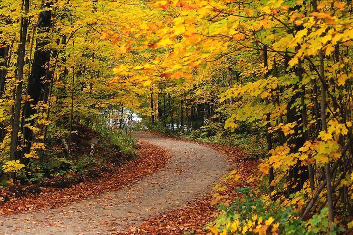 Grand Ely Lodge Resort & Conference Center - thumb 3