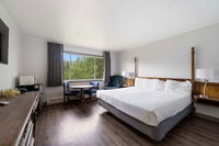 Long Beach Wa Accommodation Alabama