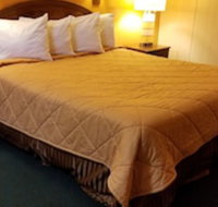 Shasta Lodge - Accommodation Alabama