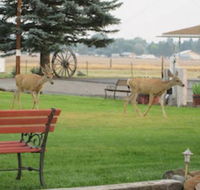 Rim Rock Motel - Accommodation Alabama