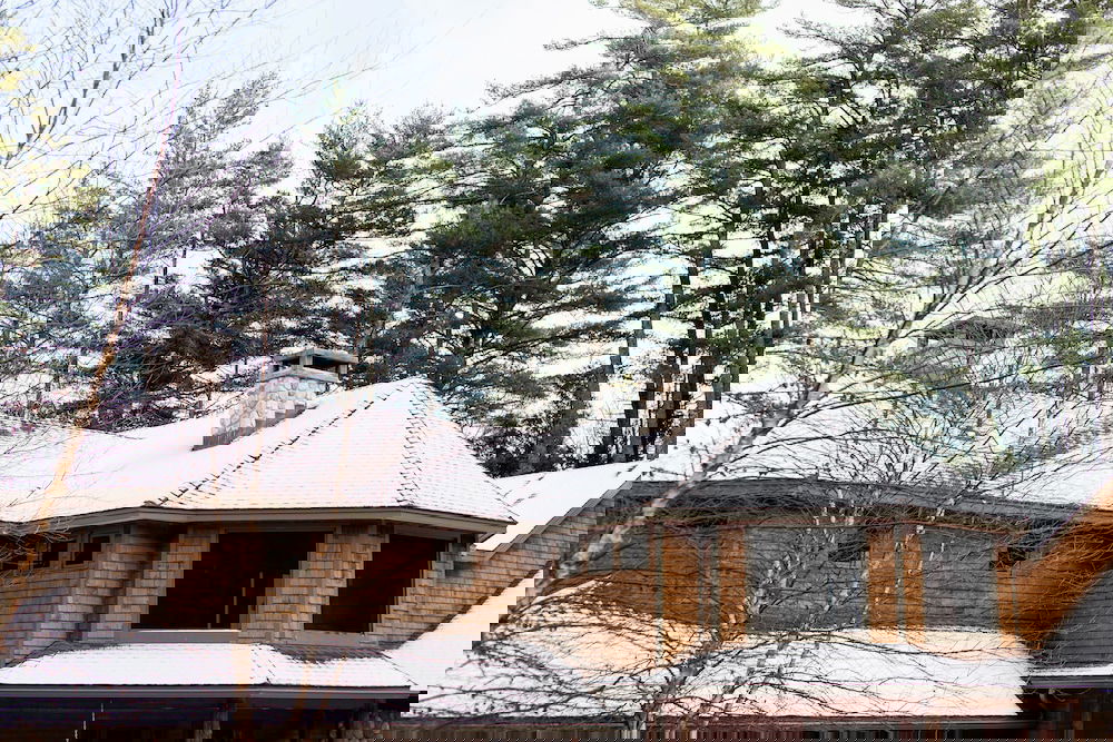 The Fern Lodge - thumb 0