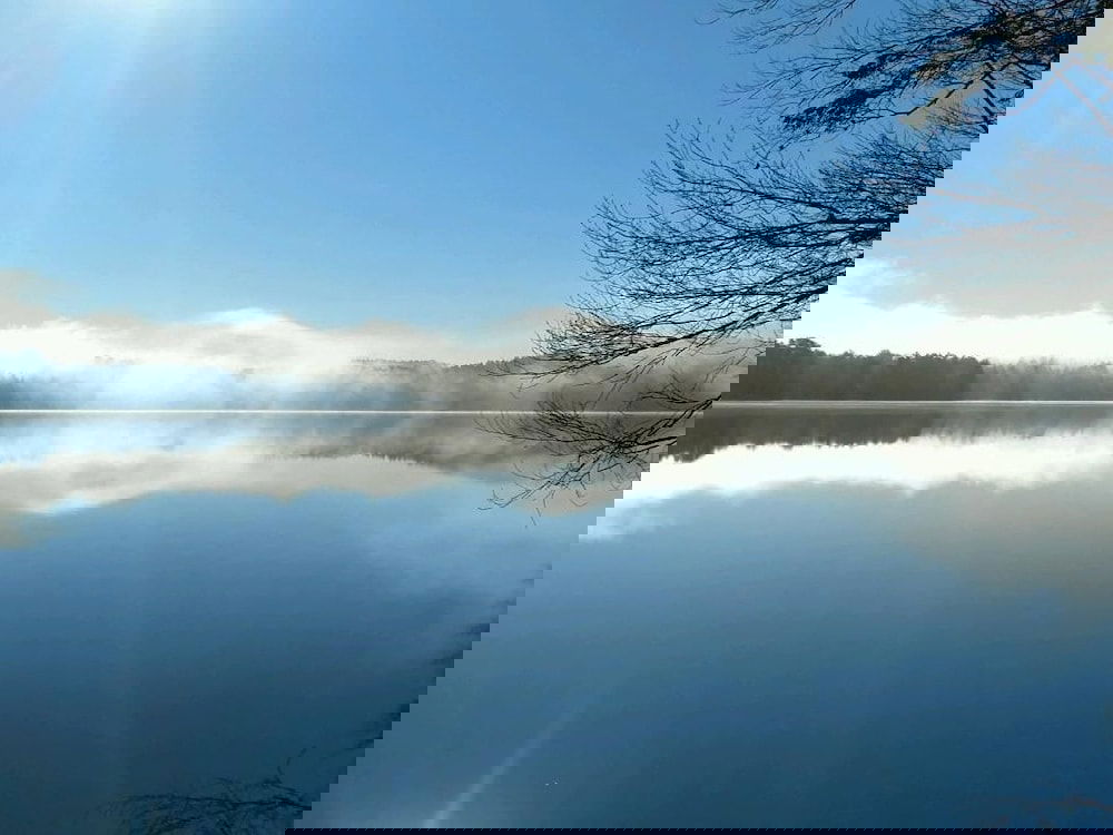 The Fern Lodge - thumb 2