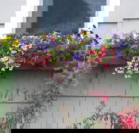 The Anchorage Cottages - Accommodation Alabama