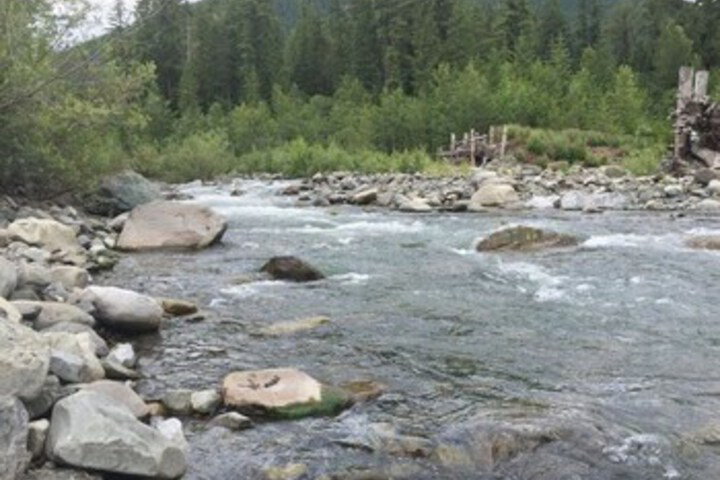 21gs - Log  - Pets Ok - Sleeps 6 3 Bedroom Home - thumb 4