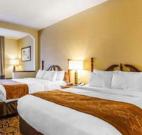 Comfort Suites Mobile East Bay - Accommodation Alabama