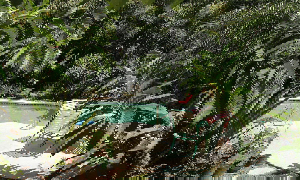 Heron Cay Lakeview Bed & Breakfast Inn - thumb 4