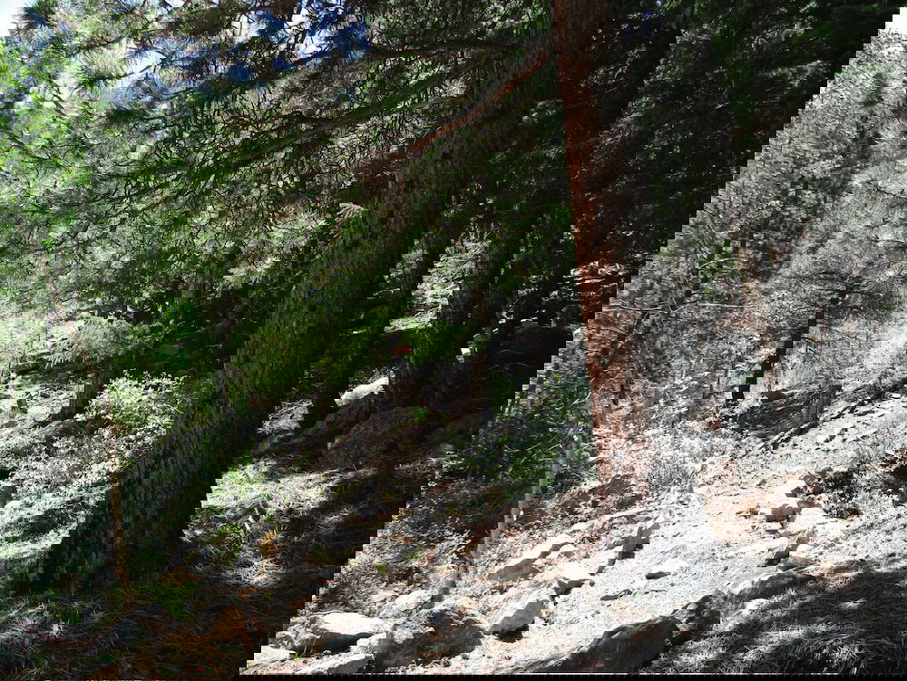 Lawson Adventure Park - thumb 1