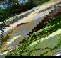 Serenity Pointe Bed  Breakfast - Accommodation Alabama