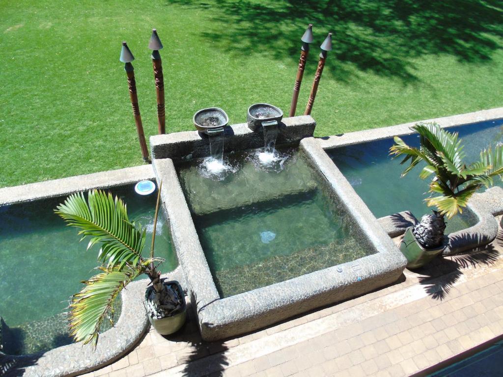 Aloha AKU Hula 2 - thumb 3