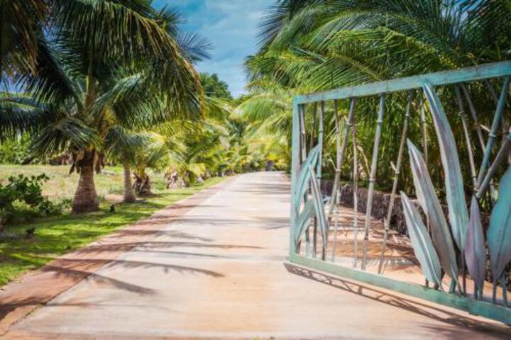 Aloha AKU CoCoPalm 2 - thumb 0