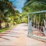 Aloha AKU CoCoPalm 2 - thumb 1