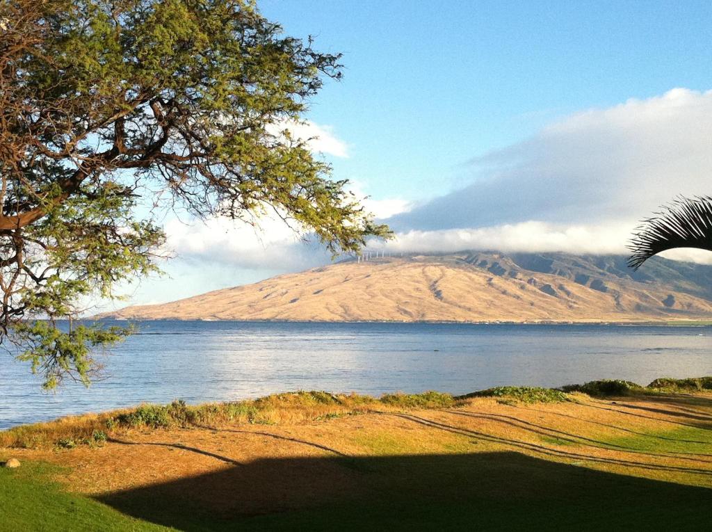 Aloha AKU Ohana 2 - thumb 4