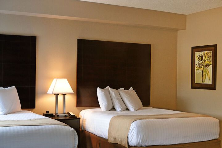 Qube Hotel - thumb 5