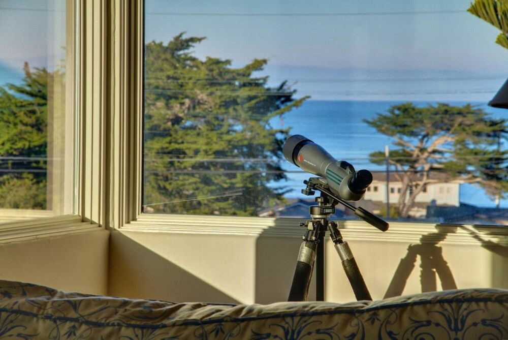 3554 Otter's Rest - thumb 1