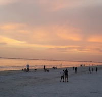 5583 Estero Blvd Iguana Mama's Beach House - Accommodation Alabama