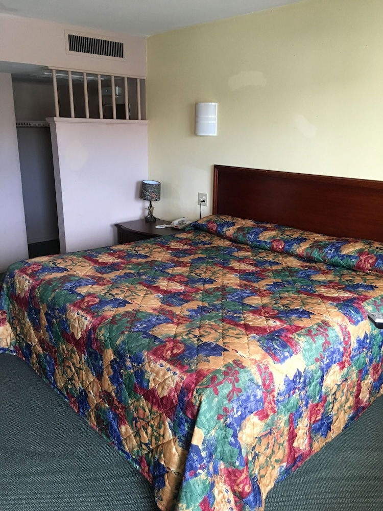 University Lodge Motel - thumb 6