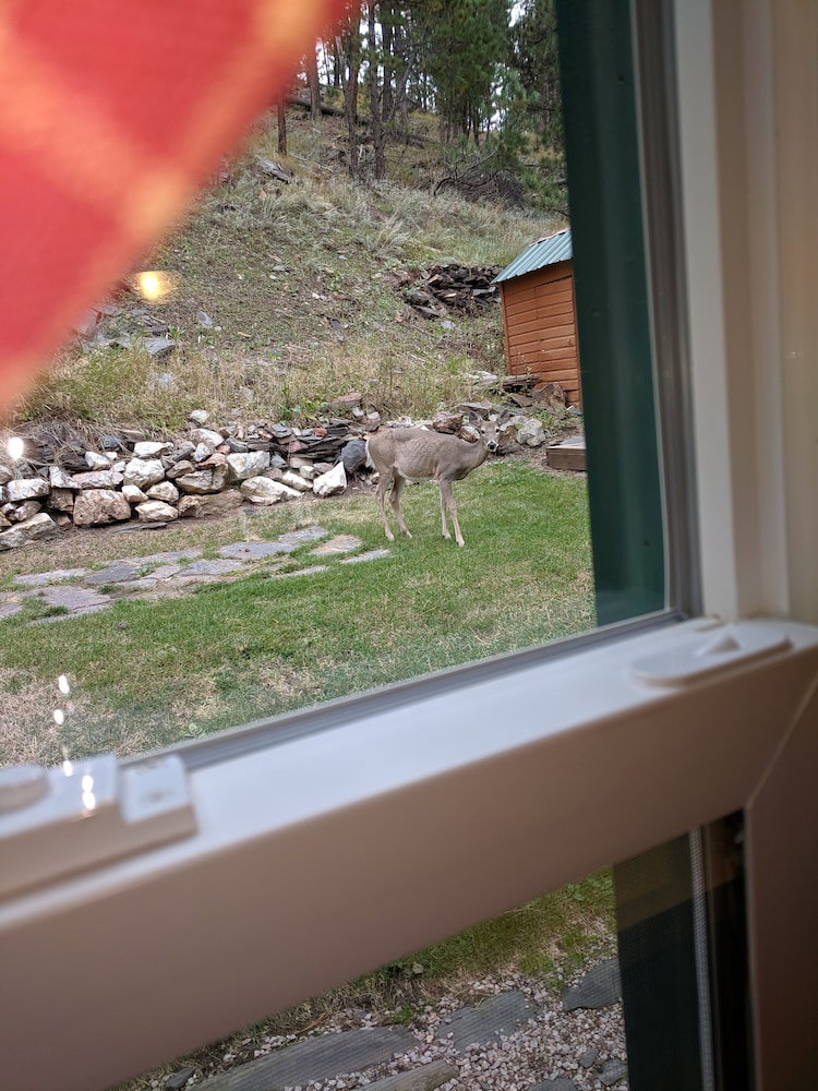 Trails End Cabins & Motel - thumb 0