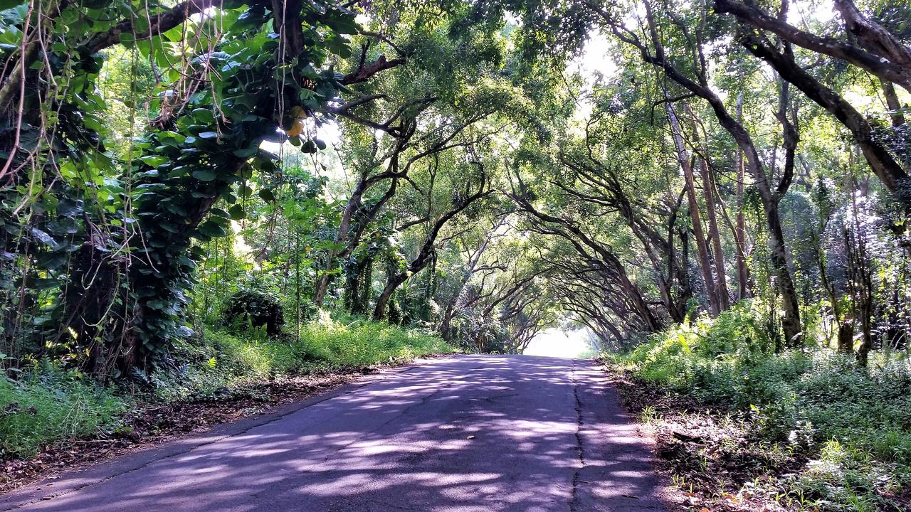 Uli Kai - The Deep Blue Sea - thumb 38