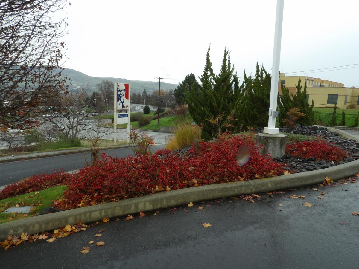 Inn America - Lewiston - thumb 44