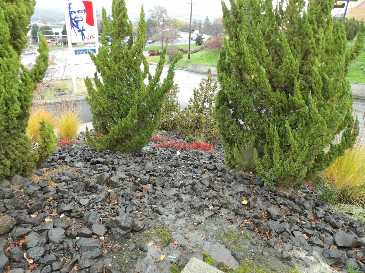 Inn America - Lewiston - thumb 42