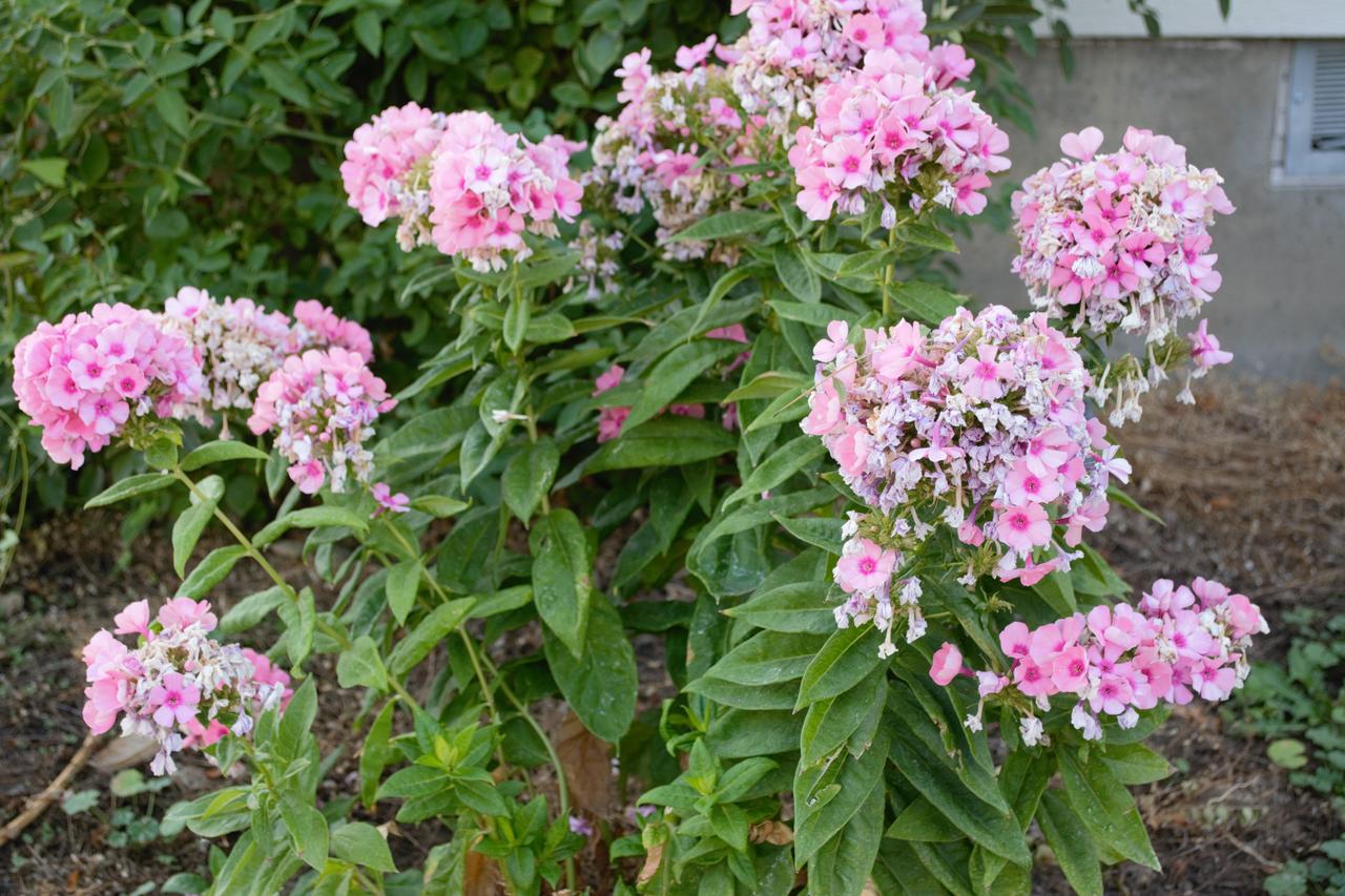 8635 Ustick Road Apartment - thumb 2