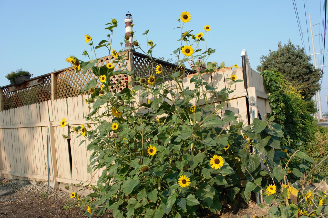 8635 Ustick Road Apartment - thumb 3