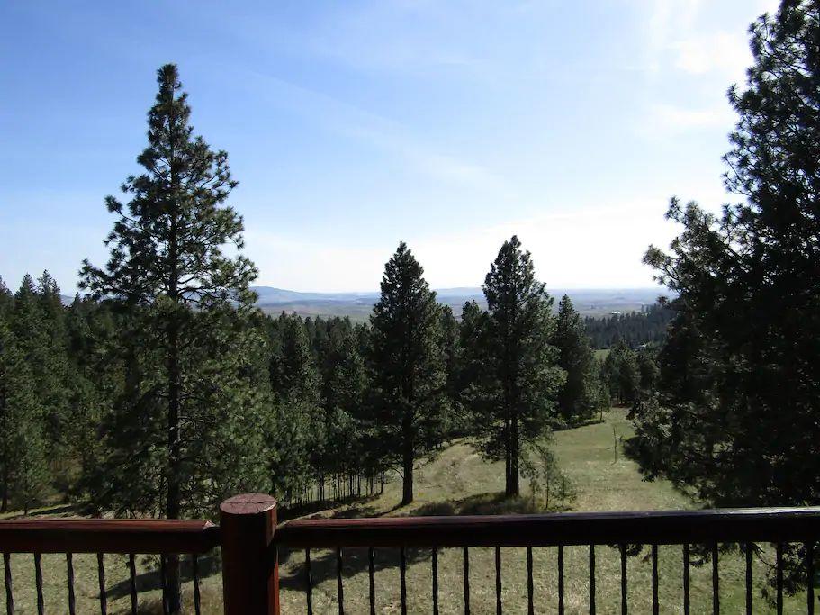 Log Castle Inn - thumb 1