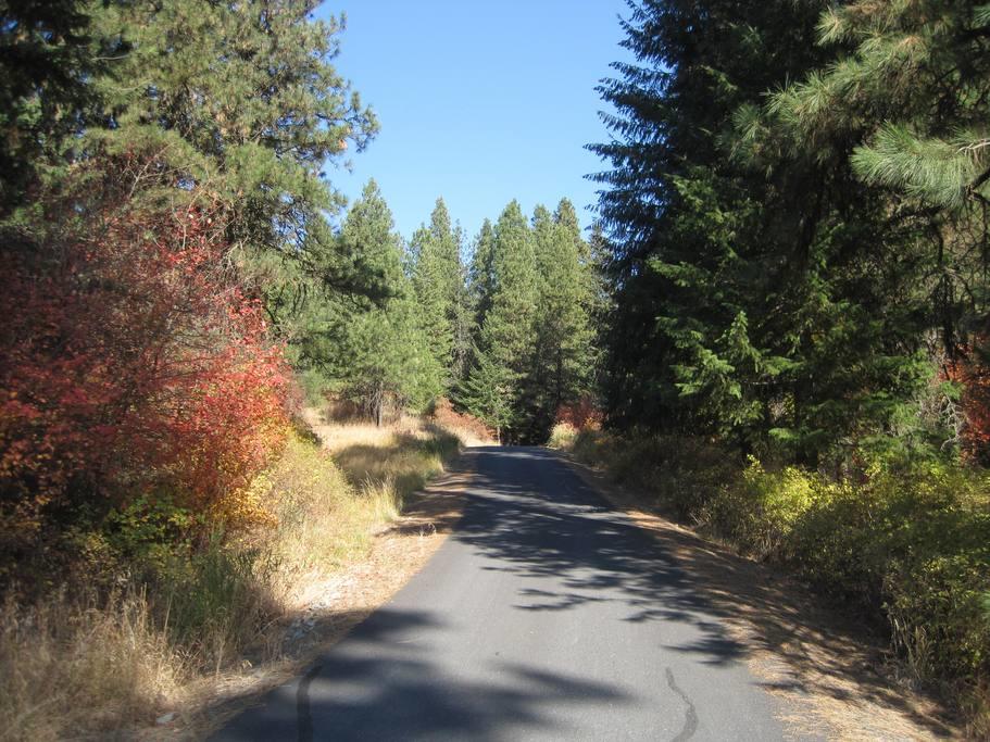 Log Castle Inn - thumb 28