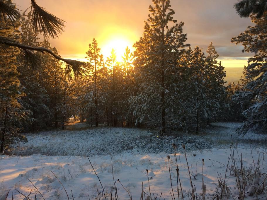 Log Castle Inn - thumb 27