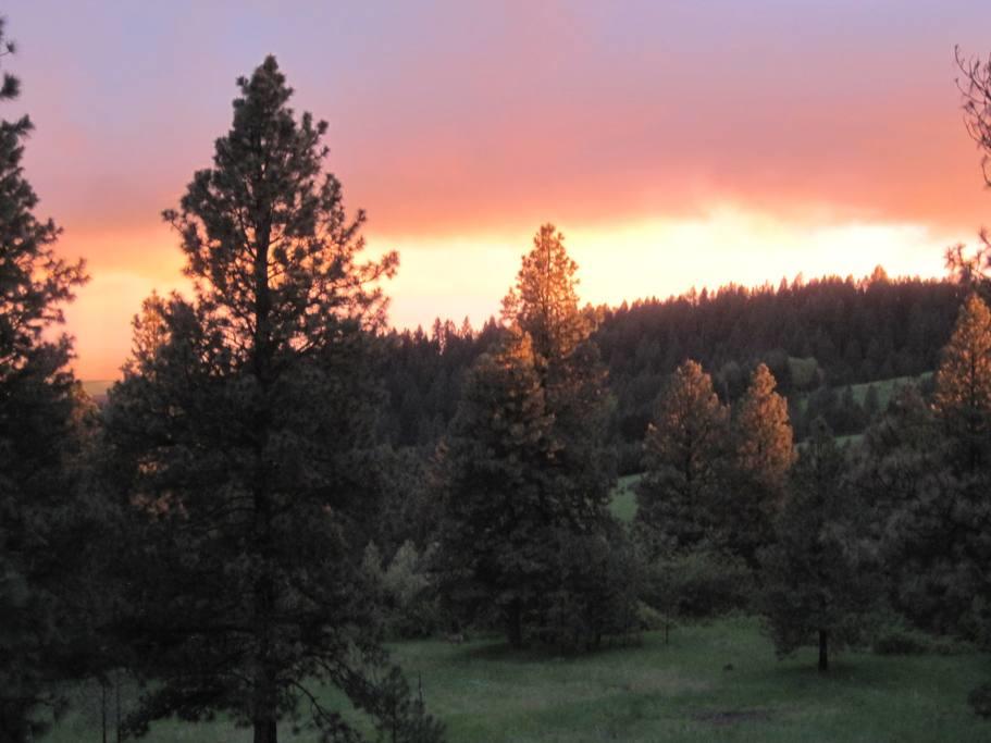 Log Castle Inn - thumb 25