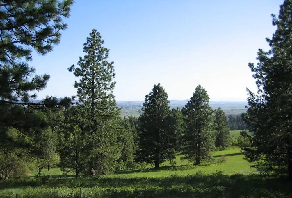 Log Castle Inn - thumb 26