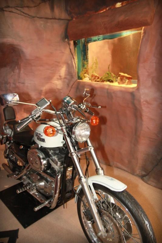 The Anniversary Inn - Boise - thumb 25