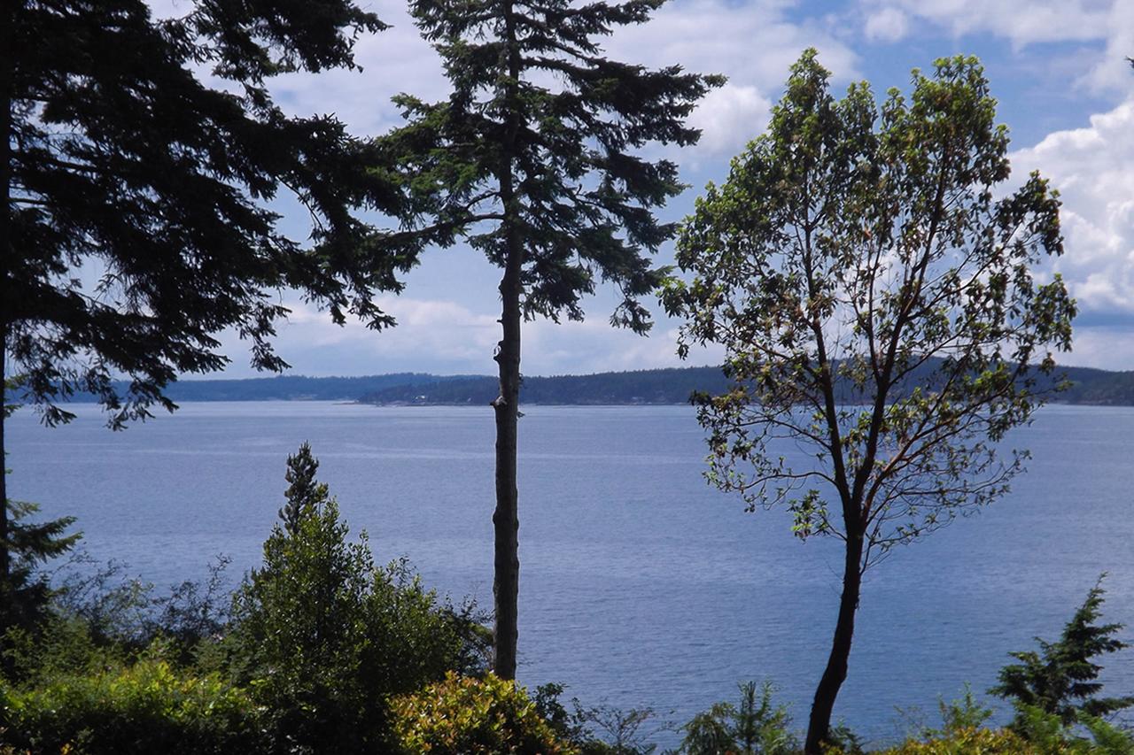 57 Mud Bay - thumb 13