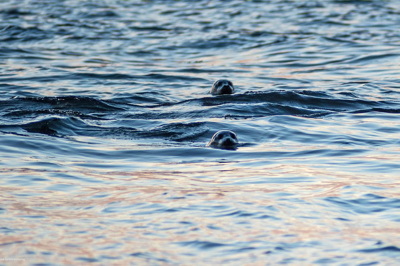 57 Mud Bay - thumb 19