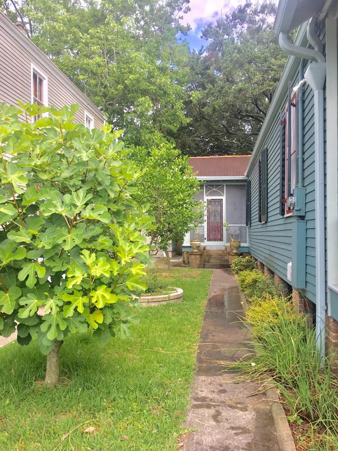 New Orleans Charming Guest House Near Tulane - thumb 12