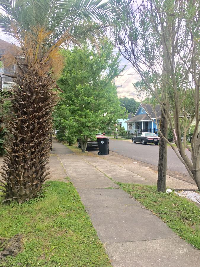 New Orleans Charming Guest House Near Tulane - thumb 23
