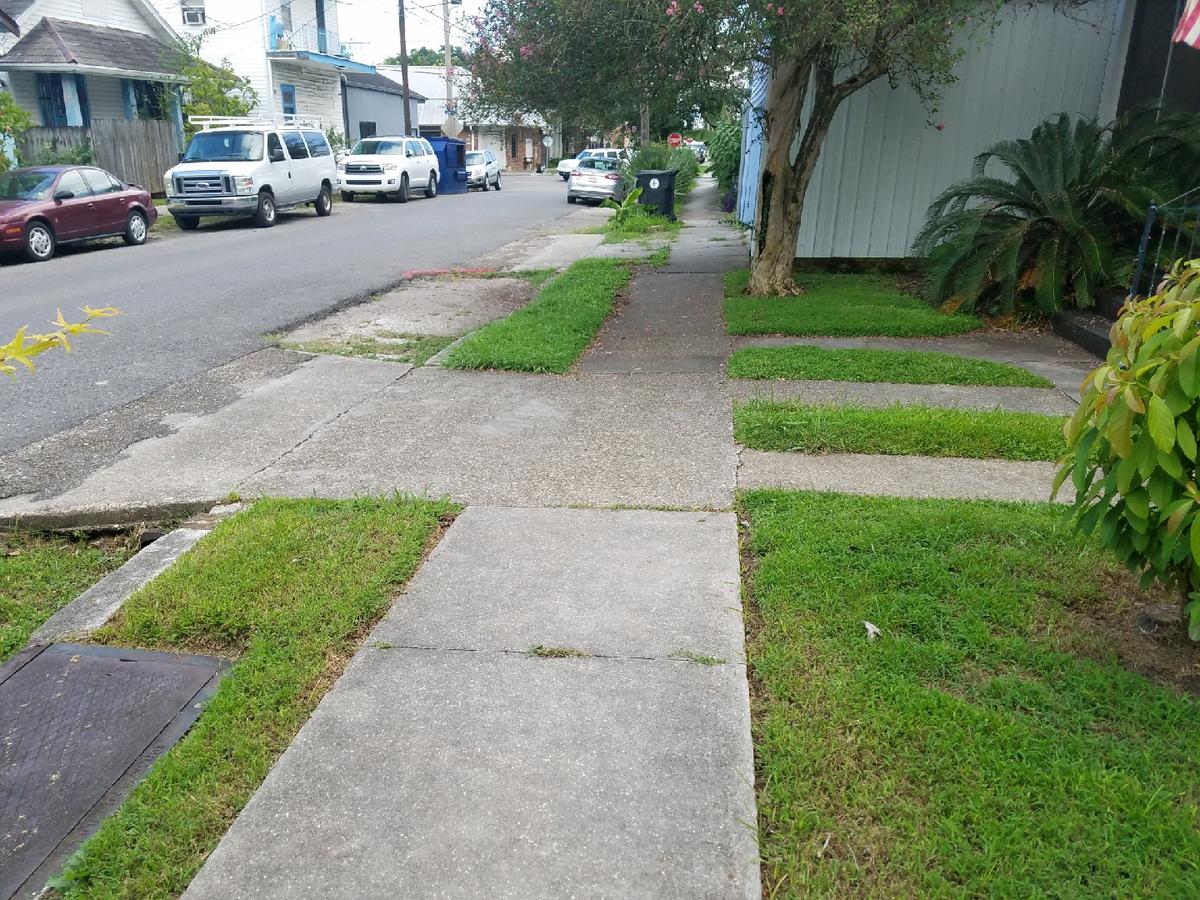 New Orleans Charming Guest House Near Tulane - thumb 16