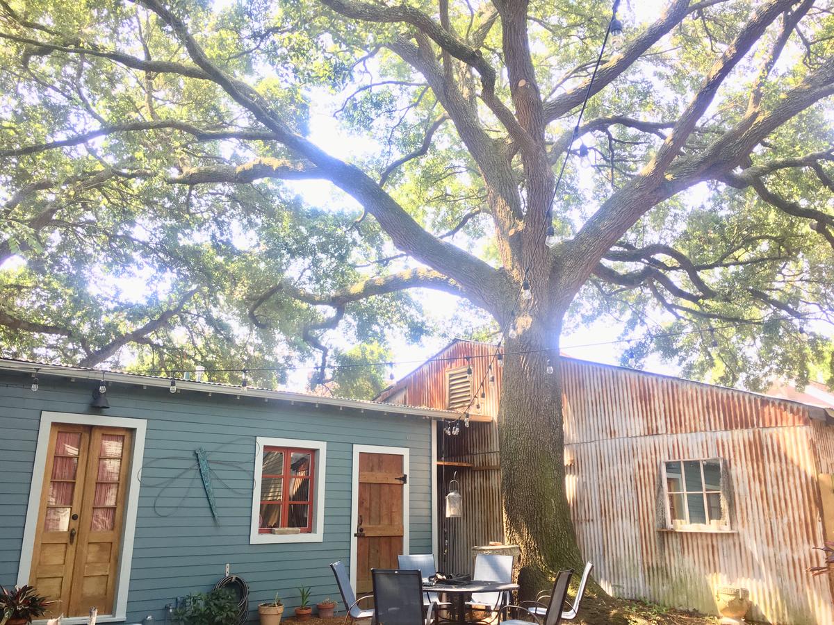 New Orleans Charming Guest House Near Tulane - thumb 4