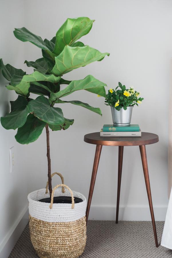 Lambert's Cove Inn Farm And Restaurant - thumb 11