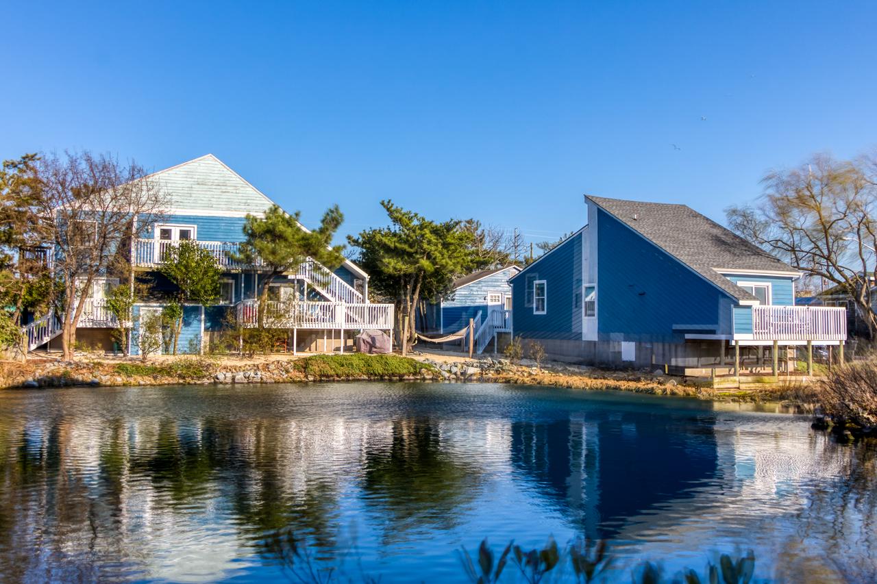 Bay B. Grande - thumb 4