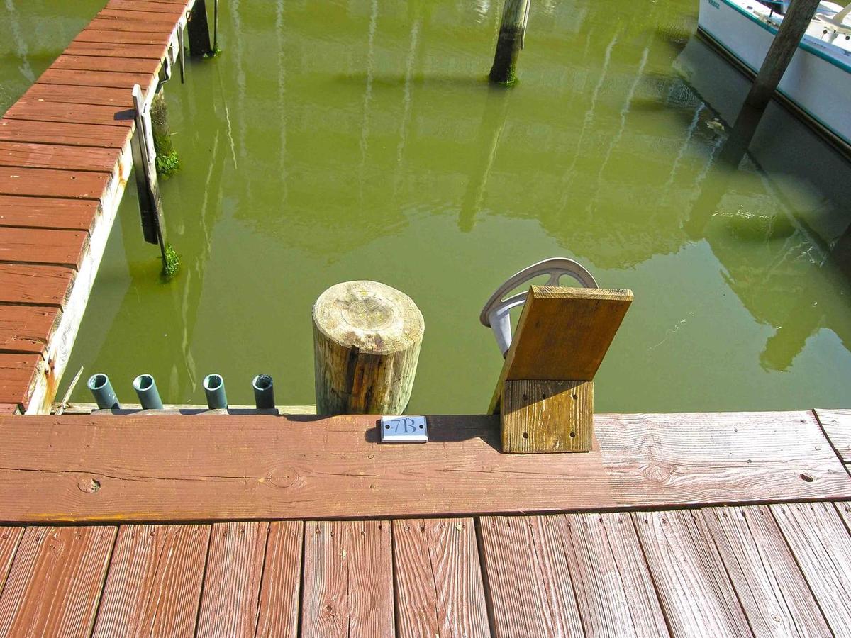 Aronimink Iv 7B Condo - thumb 20