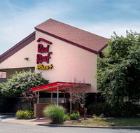 Red Roof Inn PLUS West Springfield - Accommodation Alabama