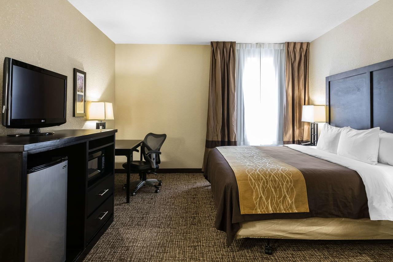 Comfort Inn & Suites Allen Park/Dearborn - thumb 34