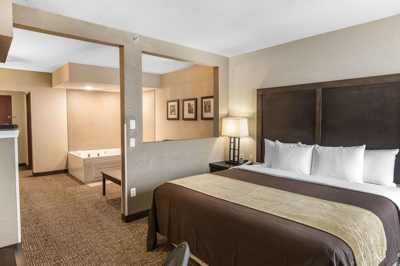 Comfort Inn & Suites Allen Park/Dearborn - thumb 10