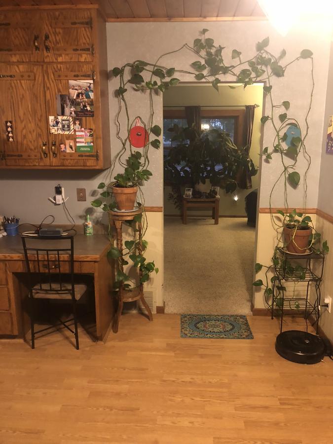 ChÃ¢teau De Scott - thumb 12