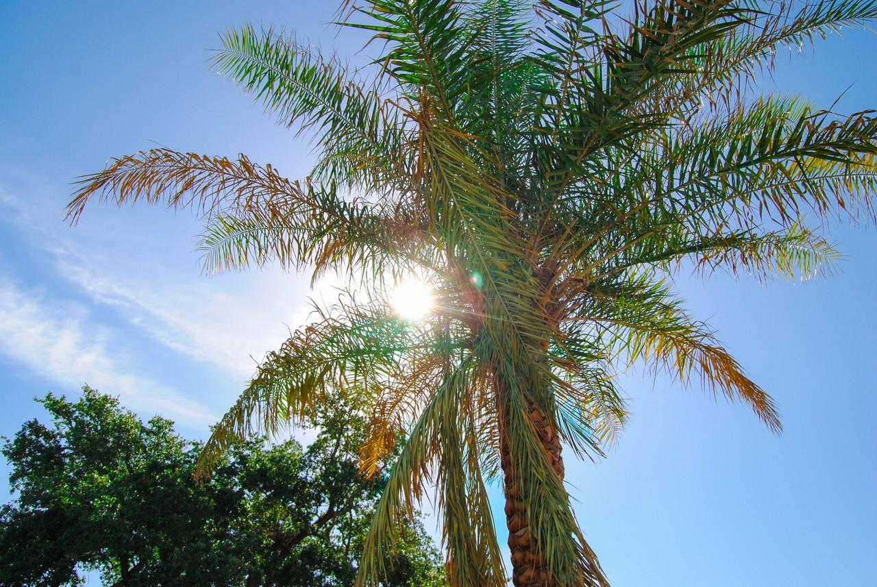 Grand Centennial Gulfport - thumb 22