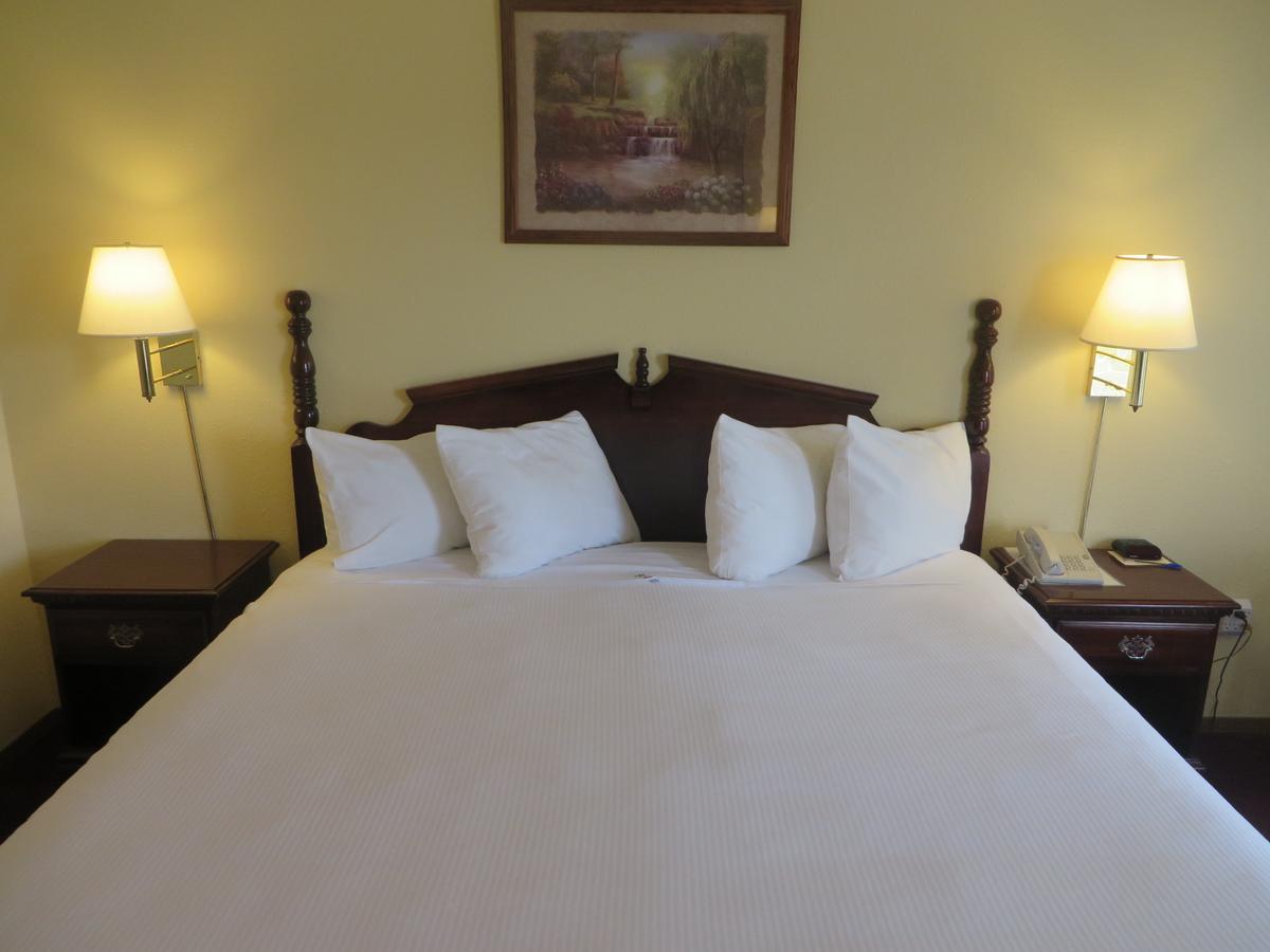 Honeysuckle Inn - thumb 43