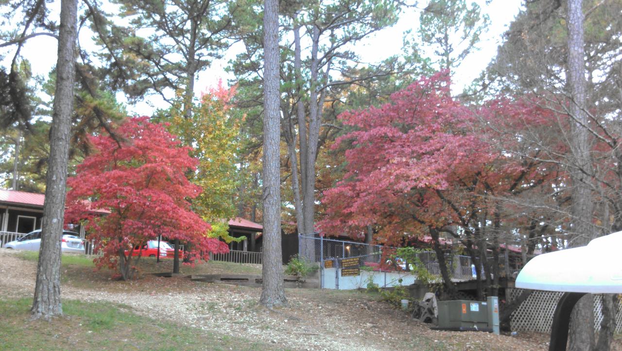 Cardinal Hill Cottages - thumb 28