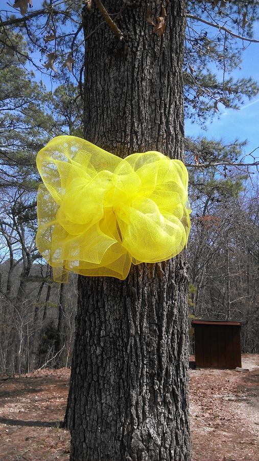 Cardinal Hill Cottages - thumb 17