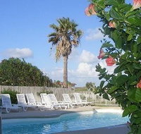 Sunrise 109 Condo - Accommodation Alabama